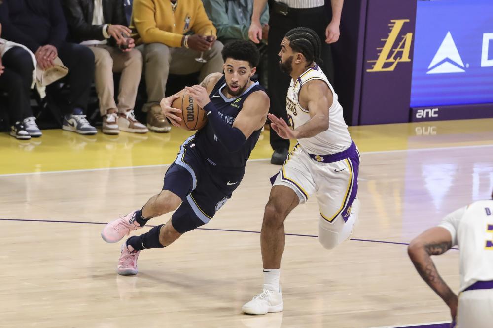 观察和耐心 观察和耐心