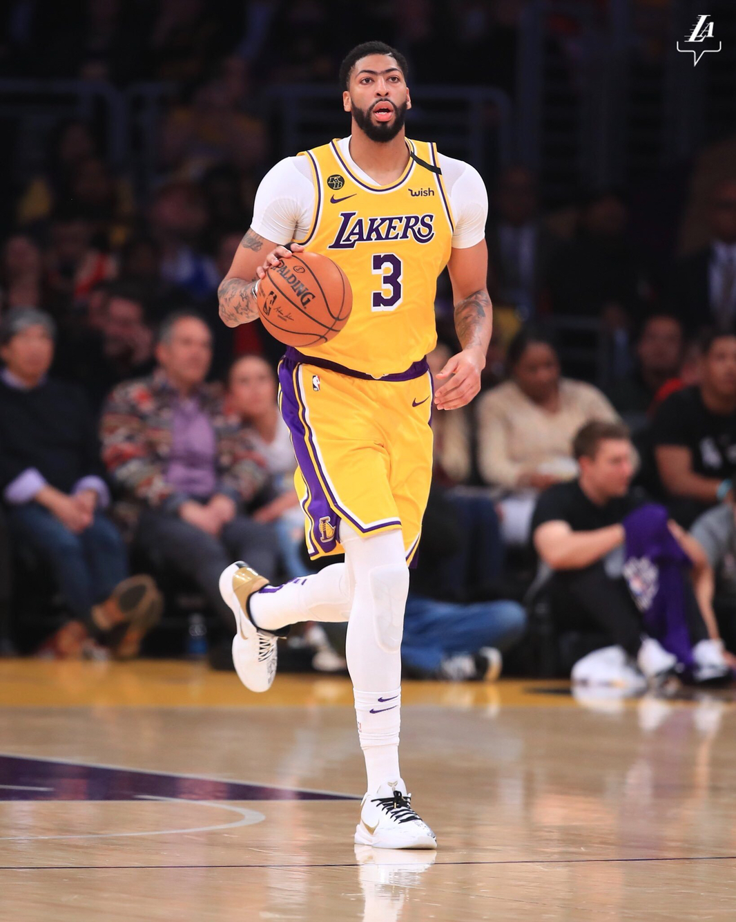 的训练模式 的训练模式